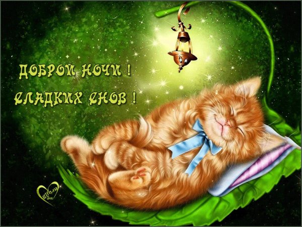 Доброй ночч