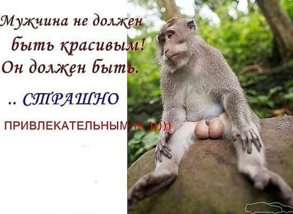 Пятница анекдоты прикольные