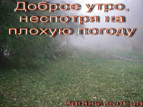 Доброе дождливое утро