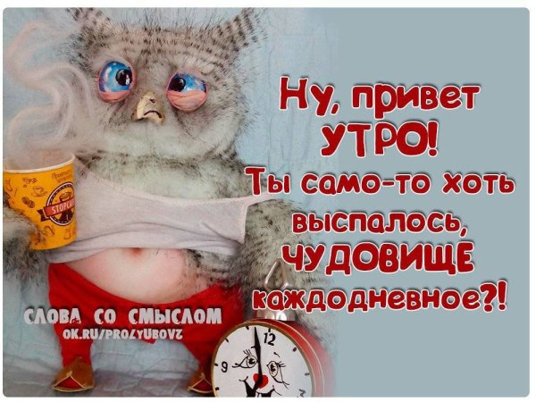 Статусы с добрым утром прикольные
