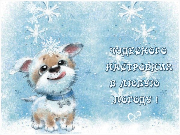 Хорошего зимнего настроения прикольные