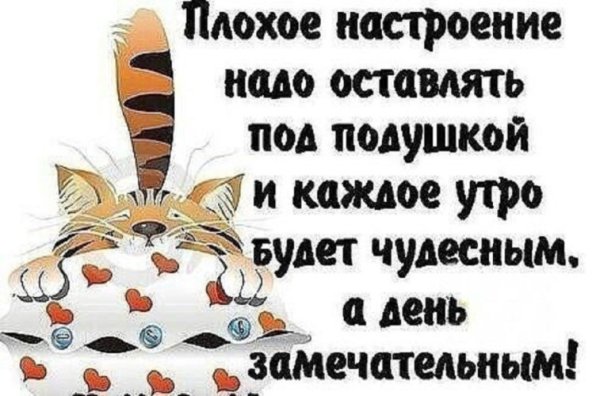 Цитаты Веселые про настроение