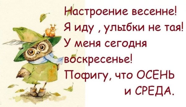 Афоризмы про среду смешные