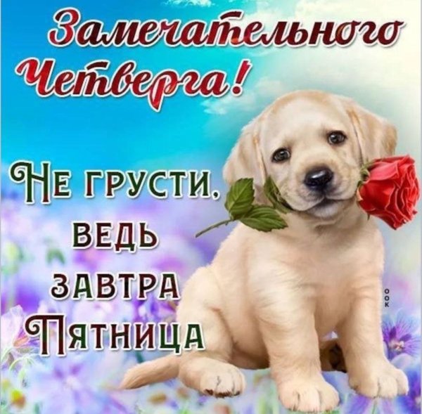 Открытки с четвергом