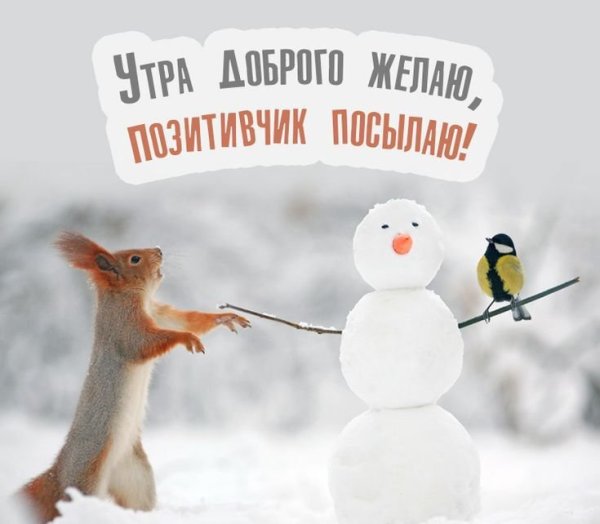 Хорошего зимнего дня