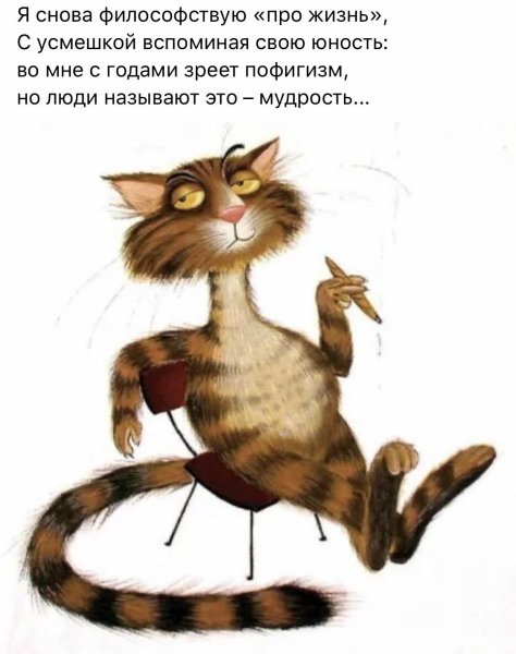 Поздравления со средой в картинках прикольные