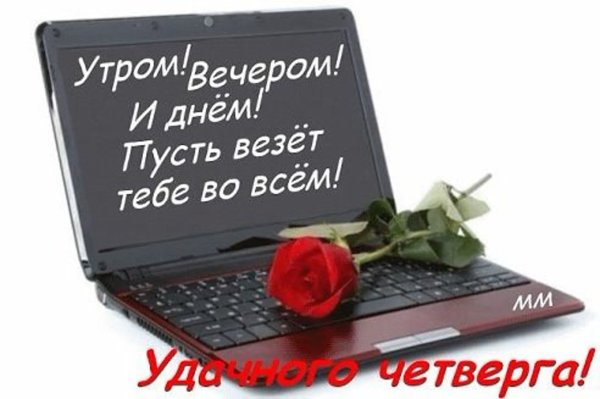 Удачного дня коллеги