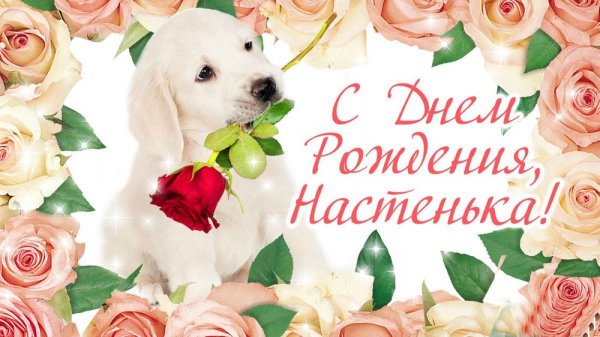 Поздравления с днём рождения Насте красивые