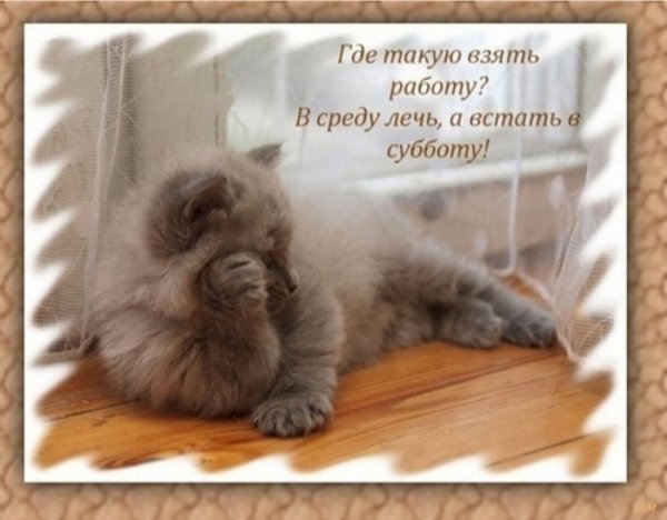 Доброе утро среда прикольные