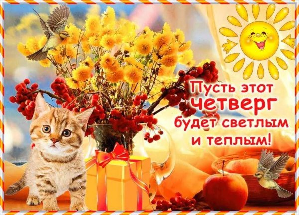 Доброго утра четверга и удачного дня