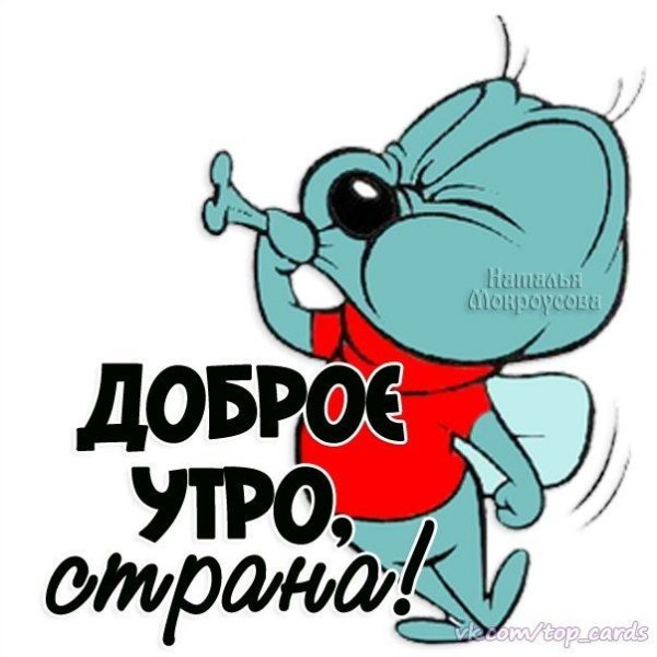 Стикеры с добрым утром с приколами
