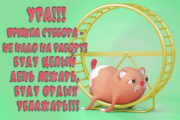 Открытки с субботой прикольные