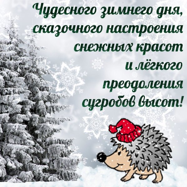 Хорошего зимнего дня и настроения