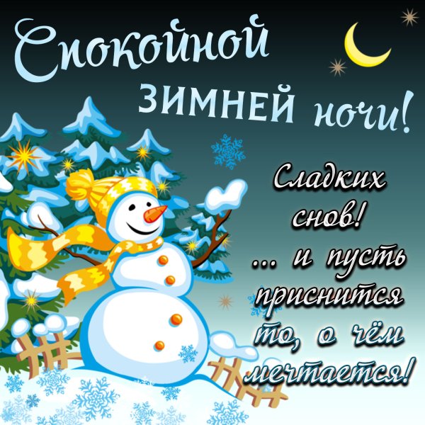 Спокойной зимней ночи