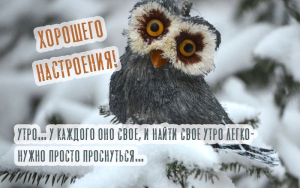 Доброе утро зимнее прикольное