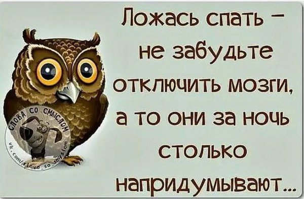 Спокойной ночи прикол