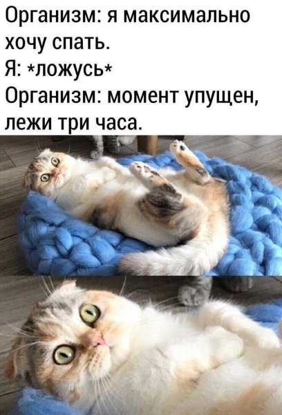 Хочется спать картинки