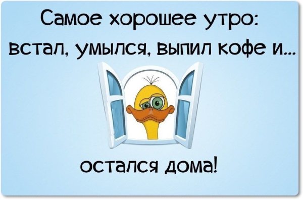 Доброе утро прикол прикольные с надписями