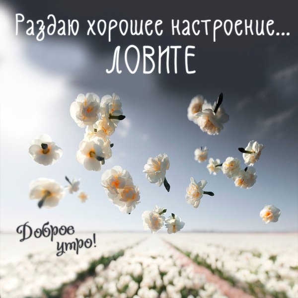 Доброе утро радостного настроения