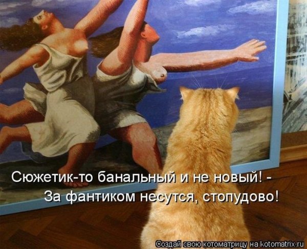 Надо смешные картинки