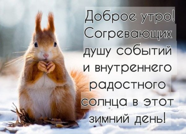 Доброе утро зимнее прикольное