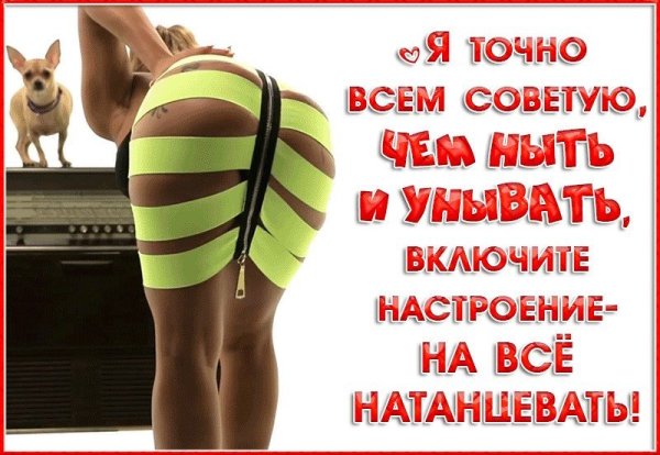 Открытки смешные для поднятия настроения для мужчин
