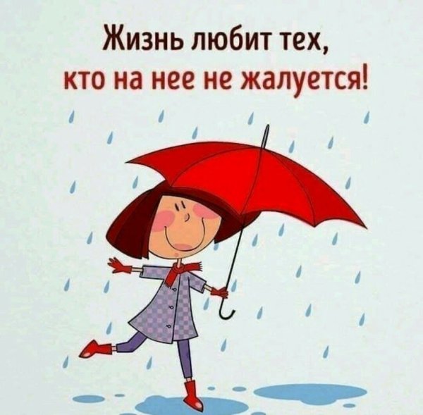 Высказывание про зонтик