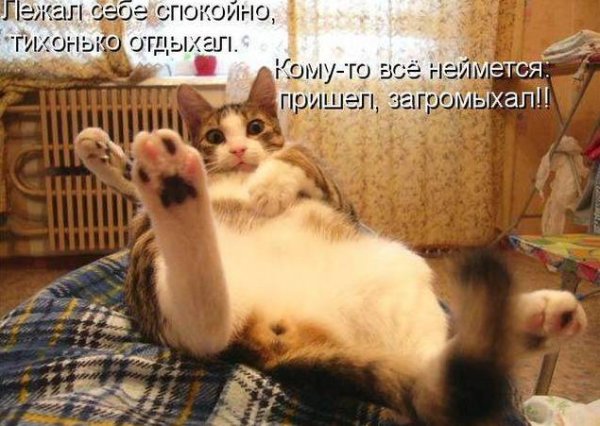Суббота пришла