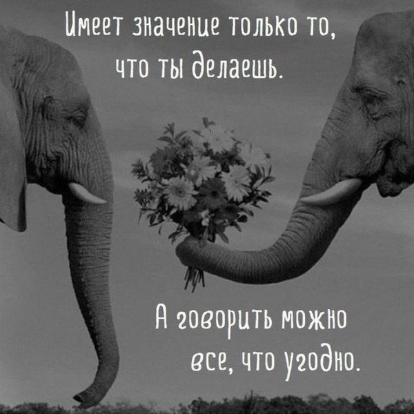 Необычные цитаты