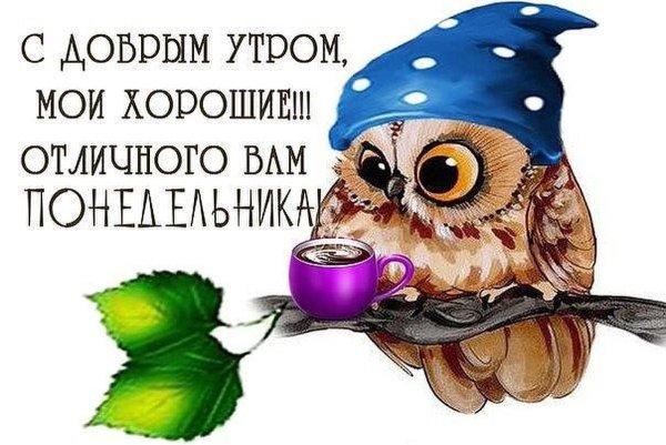 Открытки с добрым утром понедельника