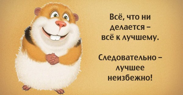 Цитаты позитивные смешные