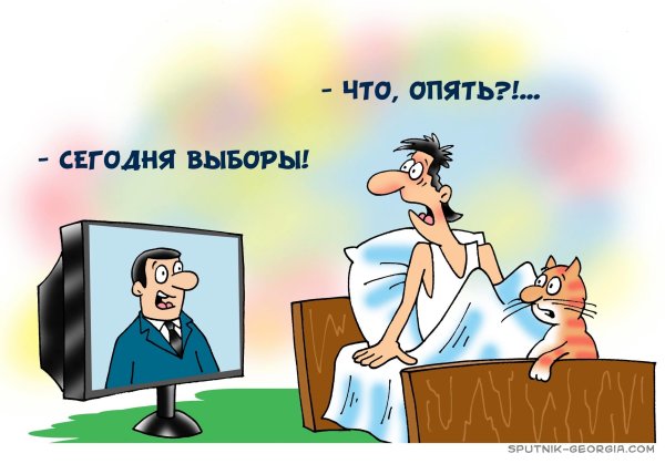 Выборы карикатура