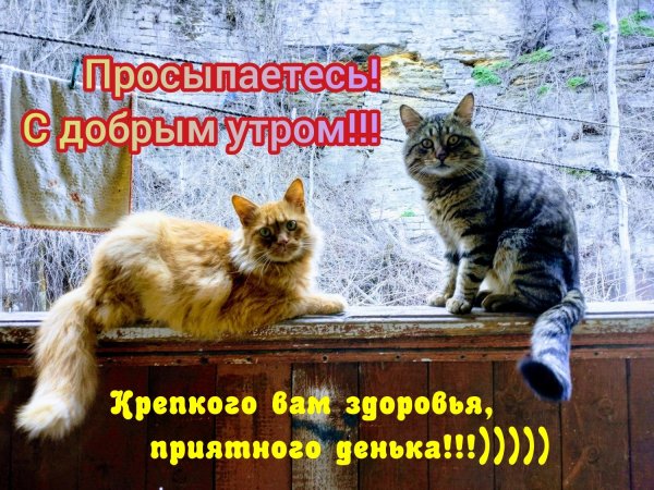 С добрым утром позитивные пожелания