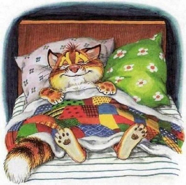 Кот ложится спать