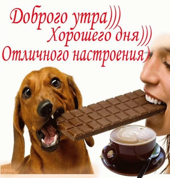 Открытки с добрым утром прикольные