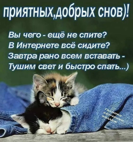 Добрых снов