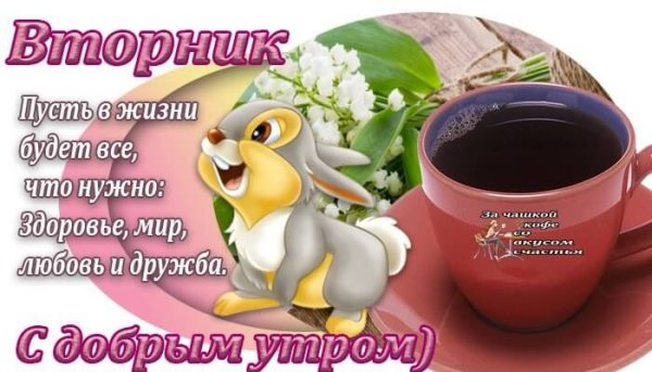 Смешные пожелания с добрым утром