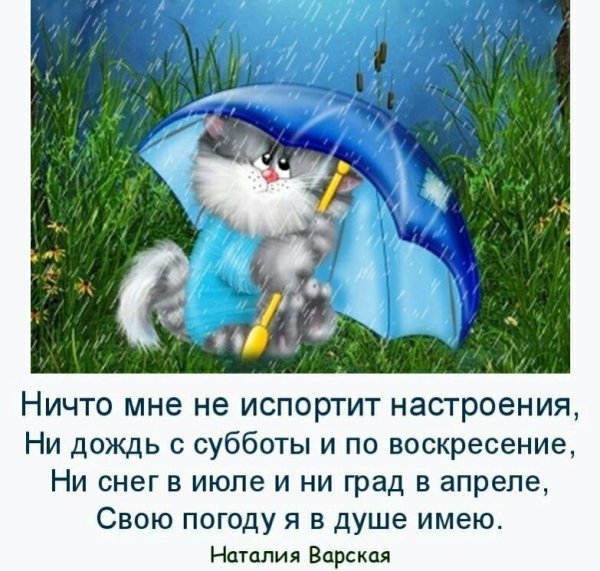 Хорошего настроения в любую погоду прикольные