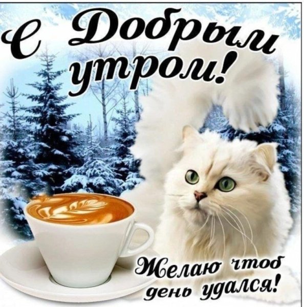 Открытки с добрым утром зимние