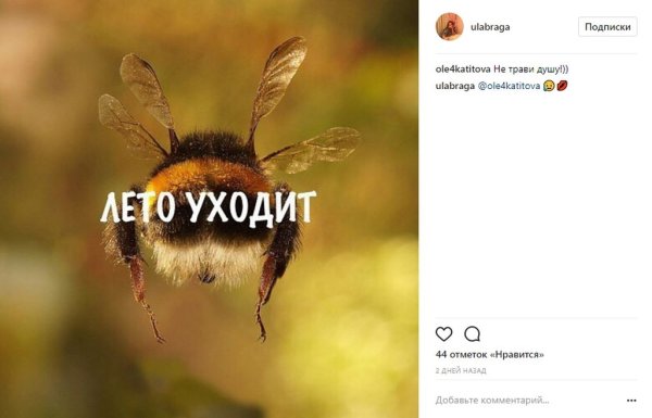 Последняя пятница лета смешные картинки