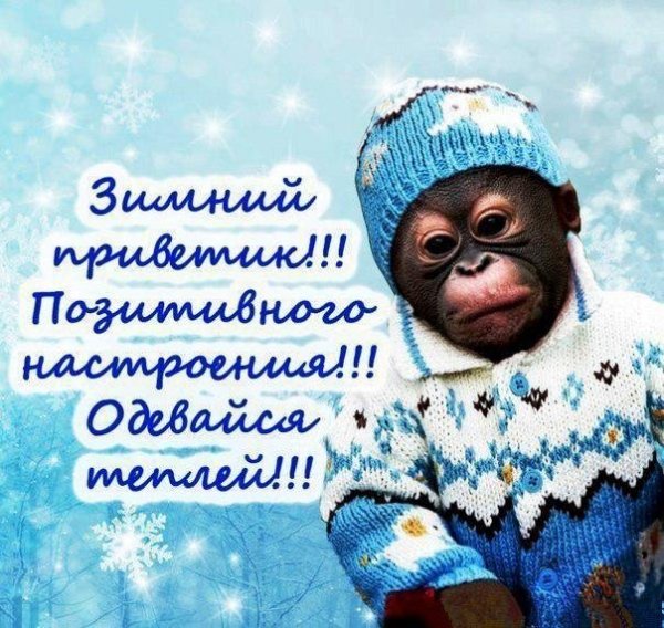 Смешные открытки с морозным утром