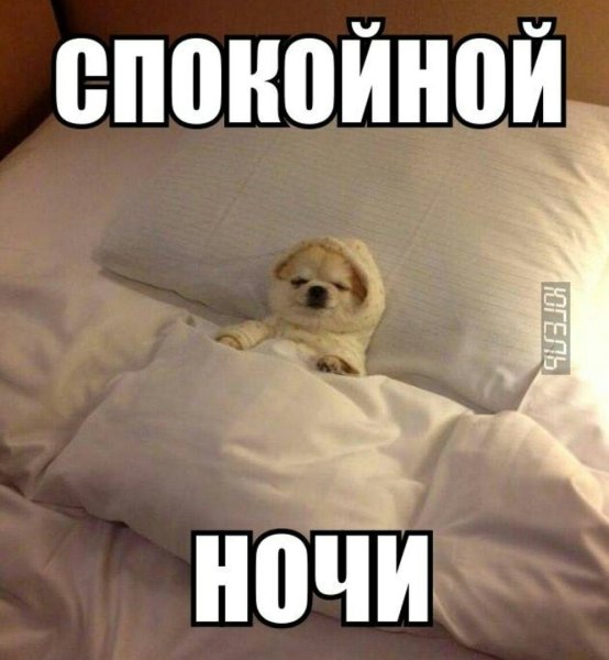 Спокойной ночи прикольн
