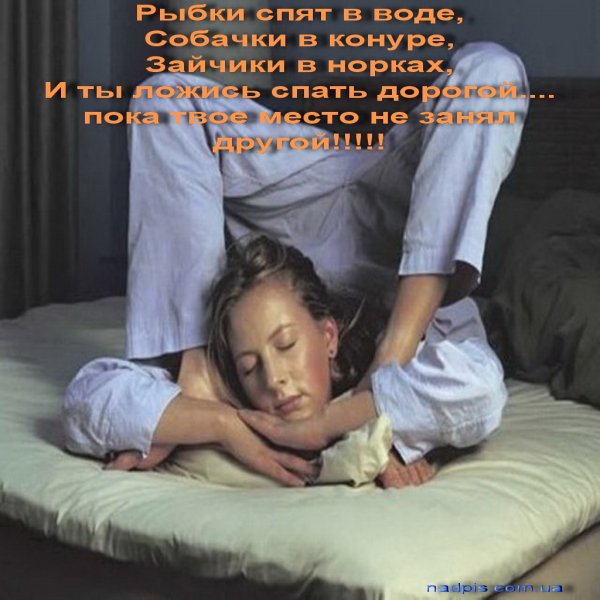 Смешные пожелания спокойной ночи