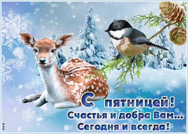 Доброе зимнее утро пятницы