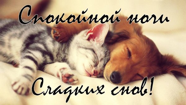 Сладкой ночи