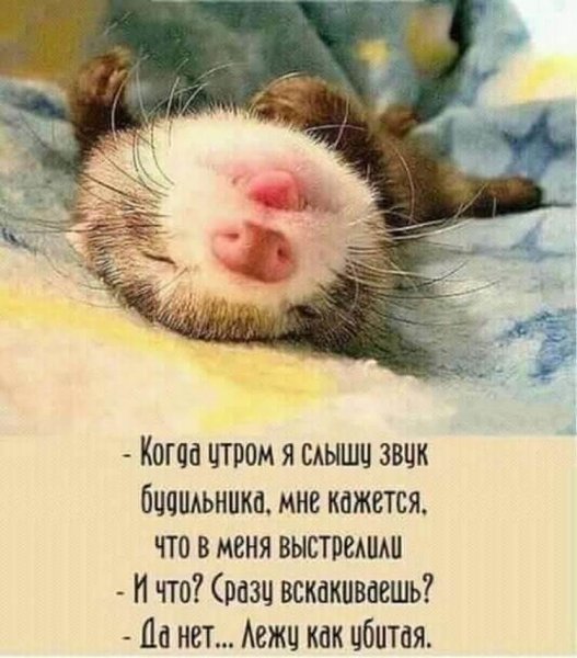 Утро позитив