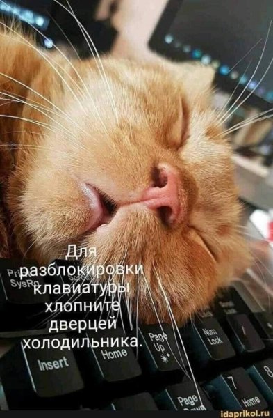 Картиночка для поднятия настроения