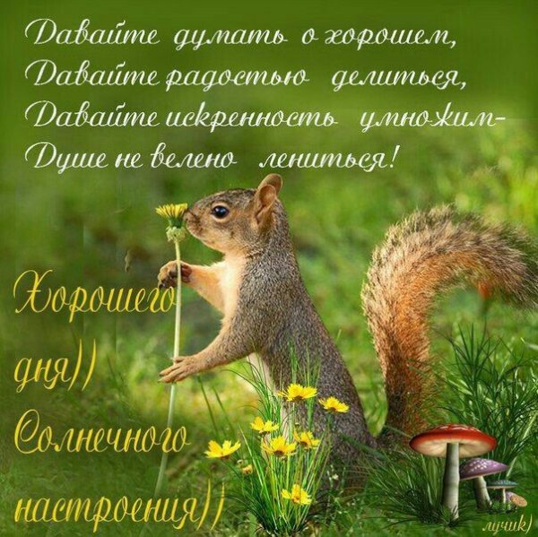 Открытки с добрым утром здоровья и благополучия