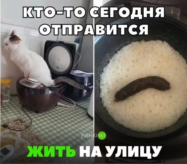 Картинки смешные с надписями для настроения