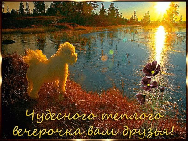 Доброго летнего вечера